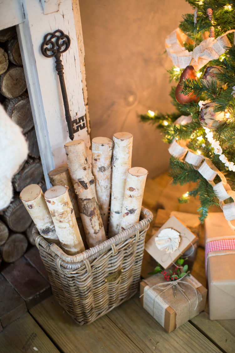 TUCKERNUCK PANNIER Nantucket Bike Basket Co.