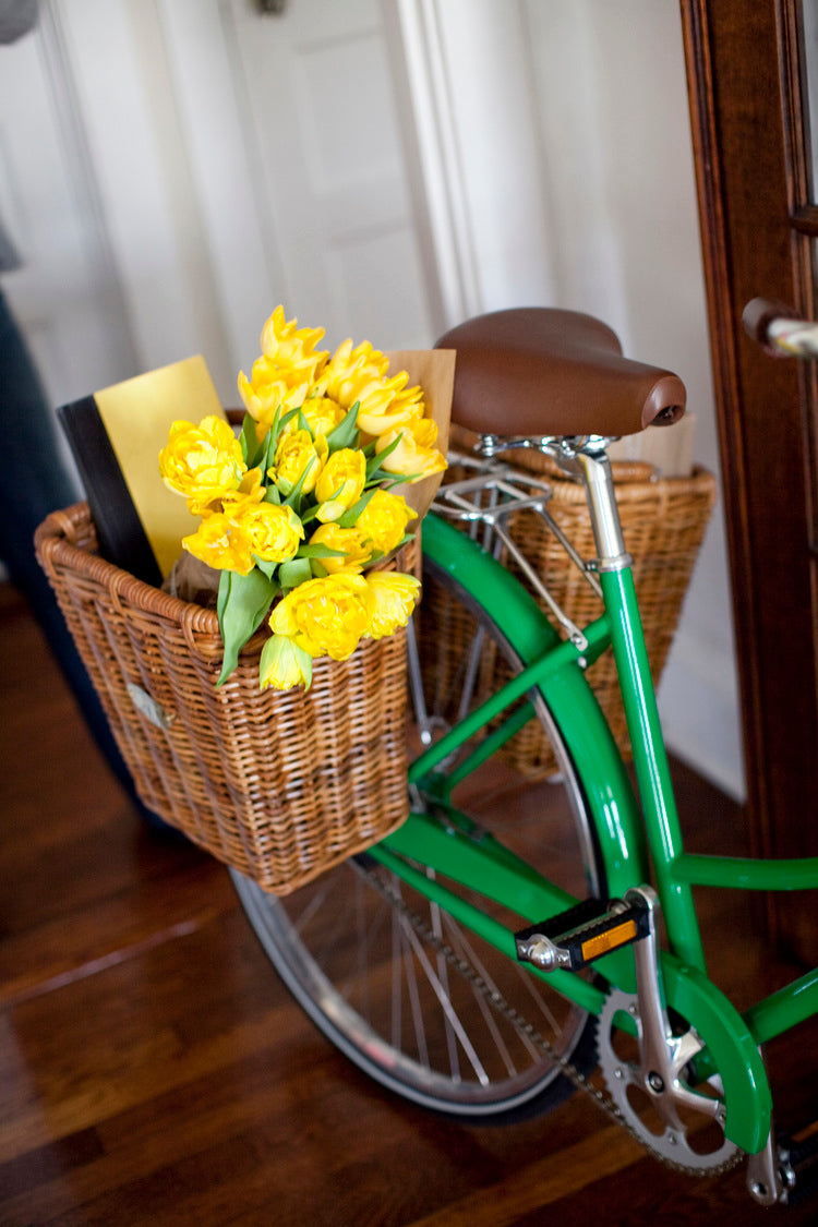 CISCO PANNIER Nantucket Bike Basket Co.