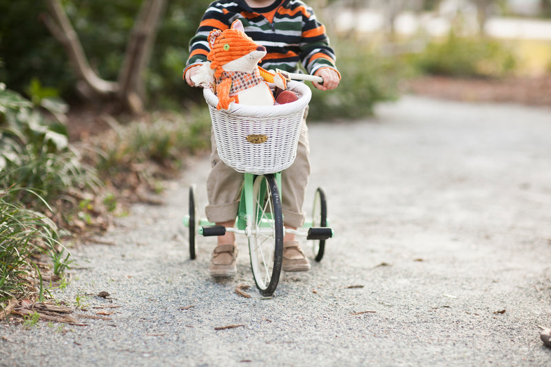 CRUISER CHILD D WHITE Nantucket Bike Basket Co